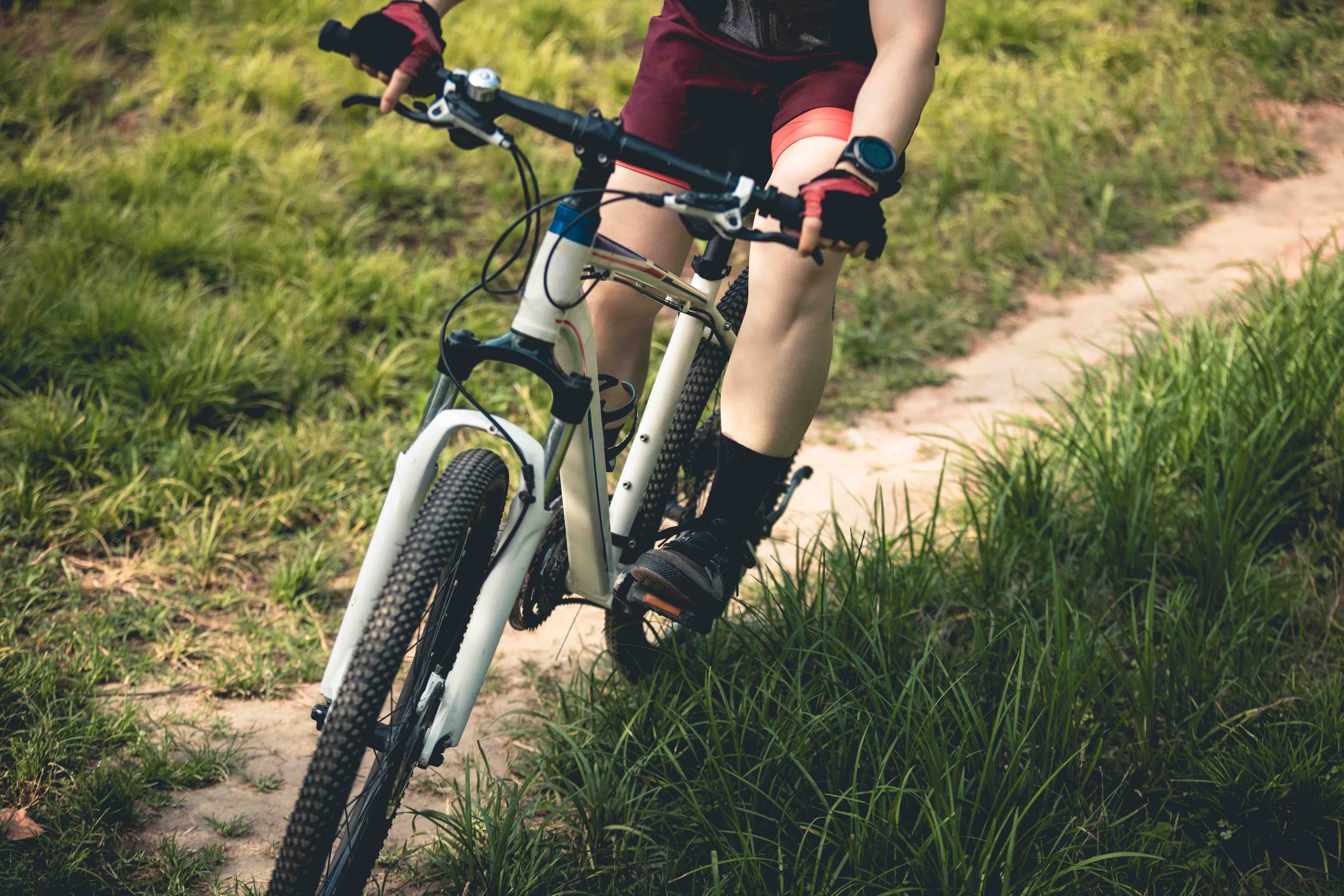 Mountain biker on a scenic trail